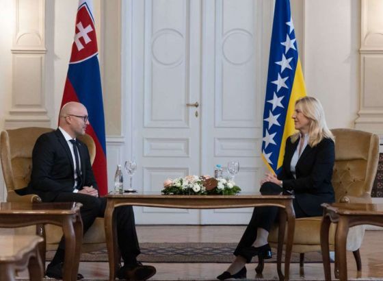 Cvijanović – Hlobeň: Slovačka će nastaviti podržavati BiH na njenom evropskom putu