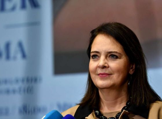 Tahzib-Lie: Provesti davno zakašnjelu obavezu u slučaju 'Sejdić-Finci'