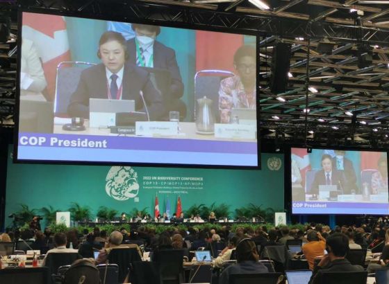 WWF Adria: Završen COP15, napokon postignut globalni dogovor za prirodu
