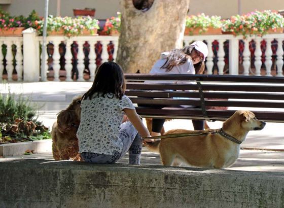 Saslušana hraniteljka pasa koji su usmrtili novinara u Srbiji