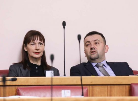 Pavliček: Srbi u RH s dvojnim državljanstvom dobivaju iz Srbije pozive za mobilizaciju