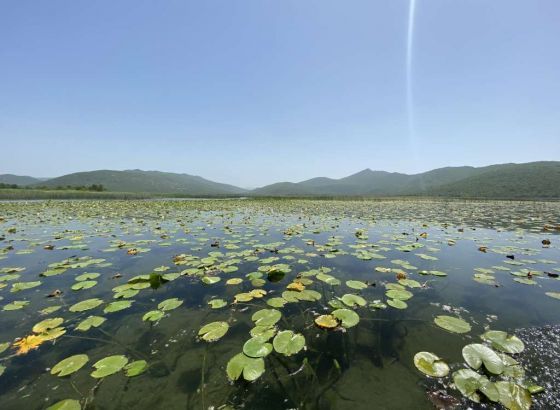 Svjetski dan močvarnih staništa: Pet milijuna eura za revitalizaciju Europske Amazone