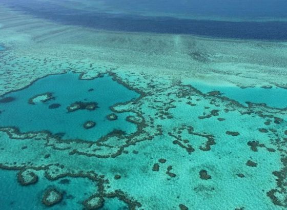 Vlada Australije blokirala izgradnju rudnika uglja kako bi zaštitila Veliki koraljni greben
