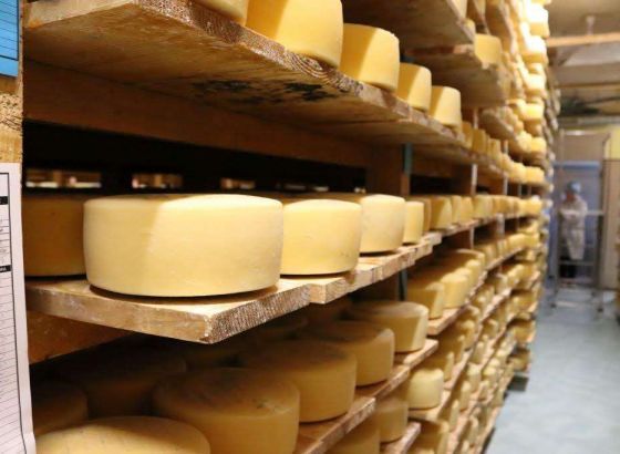 Livanjskom siru priznanje 'Superior Taste Award'