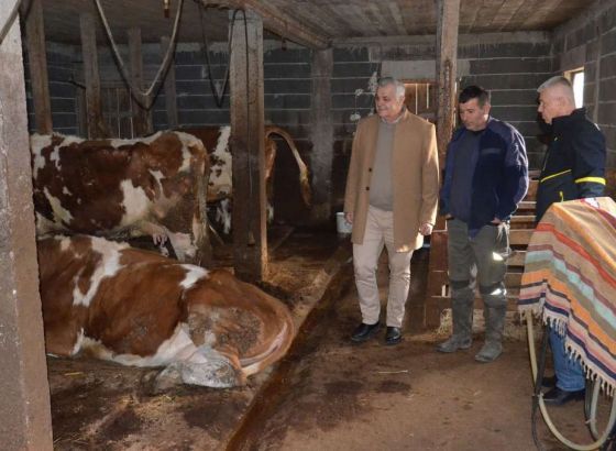 Marić posjetio farmere u Zenici - Smanjiti razlike u otkupnoj cijeni mlijeka