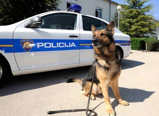 Policijski pas Don otkrio 11 kilograma heroina na baranjskom graničnom prijelazu