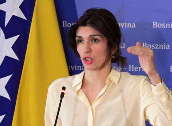 Ćudić na sjednici Komiteta za poštovanje obaveza i angažmana zemalja članica Vijeća Evrope