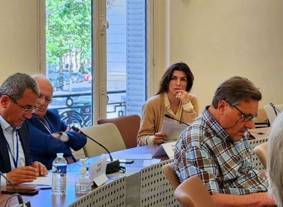 PS BiH - Ćudić u Parizu na sjednici Parlamentarne skupštine Vijeća Evrope