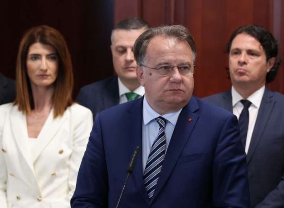 Nikšić: Dogovorili smo da BiH uskoro potpuno zabrani izvoz trupaca