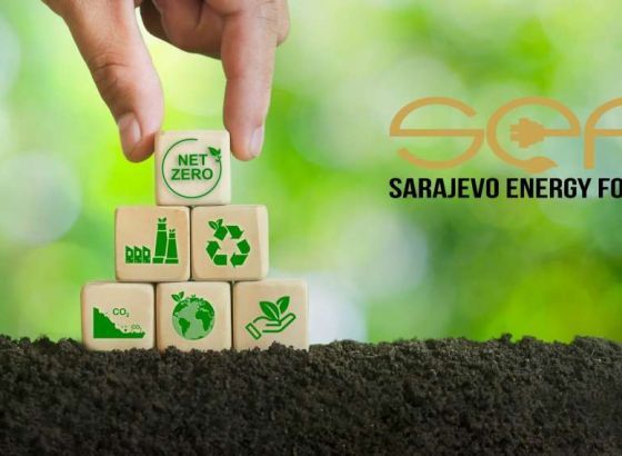 SEF - Stručnjaci o prelasku na zeleni hidrogen i biomasu i dekarbonizaciji