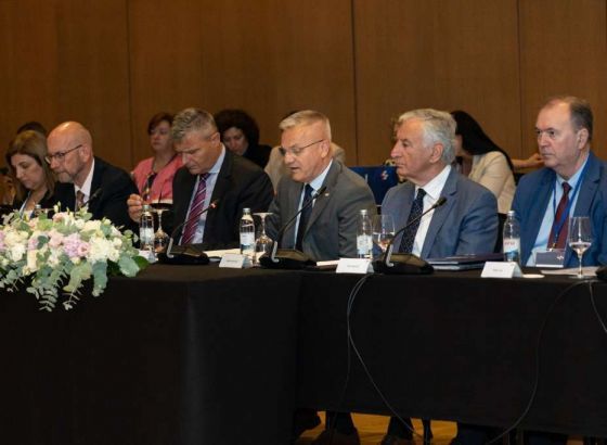 Milas: Radimo zajedno na europskom putu BiH