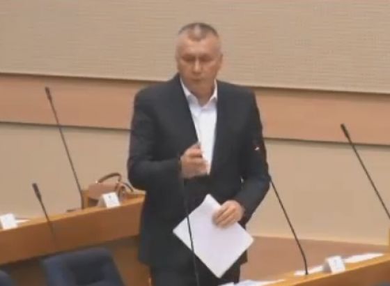 Vasić: SDS neće podržati Zakon o kriminalizaciji klevete