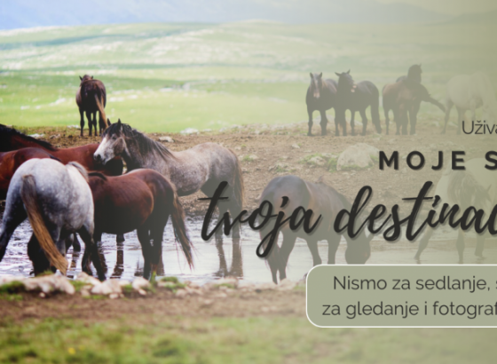 DRUŽENJE SA GOSPODARIMA LIVANJSKE VISORAVNI