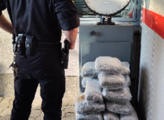 Granična policija BiH zaplijenila 16 kilograma marihuane