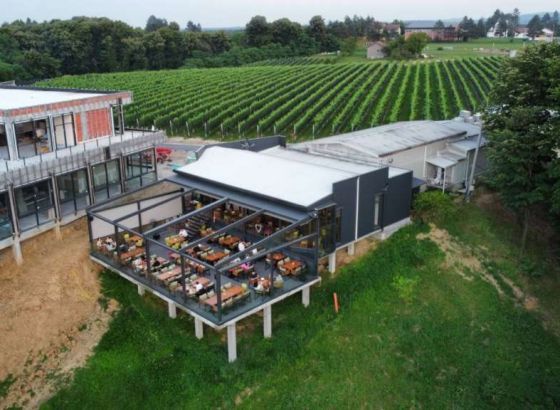 Vinarija 'Pajić' proširuje kapacitete, planirana proizvodnja vina i do 100.000 litara godišnje