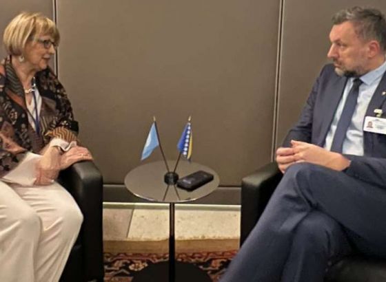Konaković i Schmid o globalnim sigurnosnim izazovima i OSCE-ovoj podršci reformama u BiH