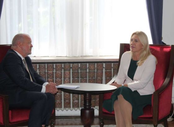Cvijanović sa van den Doolom: Put u EU vanjskopolitički prioritet Bosne i Hercegovine