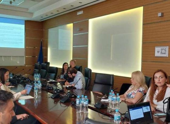USAID sa dva nova fonda pomaže investicije dijaspore u BiH