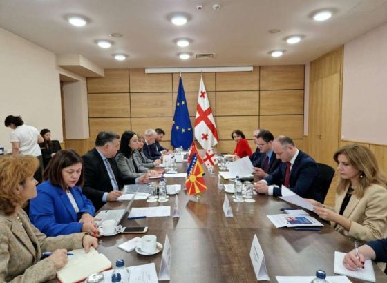 Brkić učestvovao u Tbilisiju na 2. zajedničkom radnom sastanku visokih zvaničnika Zapadnog Balkana i Gruzije