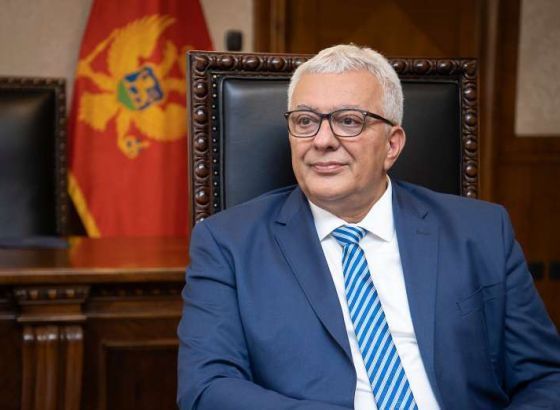Mandić: Crna Gora je neovisna država, Dodik "ima svoju viziju"