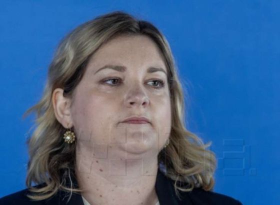 SDSS: Potreba za iskazivanjem pijeteta u Vukovaru pretvara se u povod za fizičko sukobljavanje