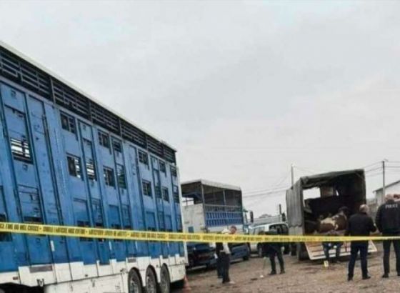 Kosovo: Devet osoba ozlijeđeno u eksploziji ručne bombe na tržnici u Prizrenu