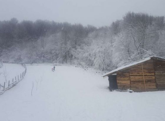 Srbija: Situacija se postupno smiruje, spasilačke ekipe evakuirale 30 osoba