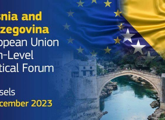 Magazinović: U Bruxellesu smo mogli vidjeti jednu lijepu sliku bh. političke scene