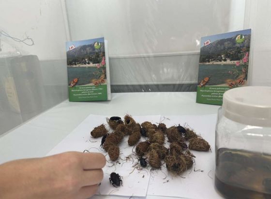 Laboratorij za analizu meda u Mostaru služi svim pčelarima, ali i potrošačima u BiH (VIDEO)