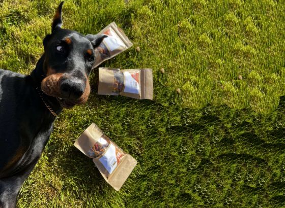 Bh. brend Happy Puppy nudi poslastice za njuškice da šape obližeš   