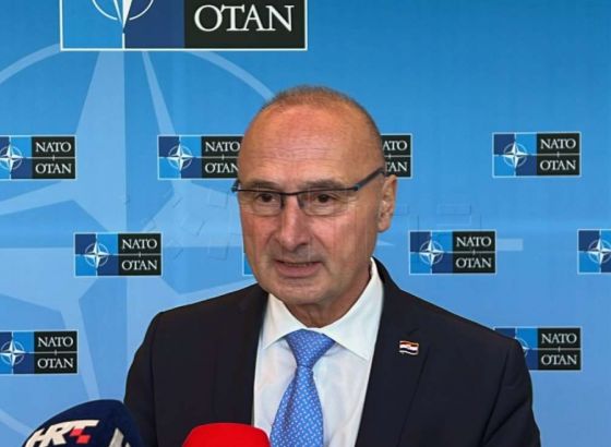 Grlić Radman: Komšić je uhljeb i uzurpator prava hrvatskog naroda u BiH
