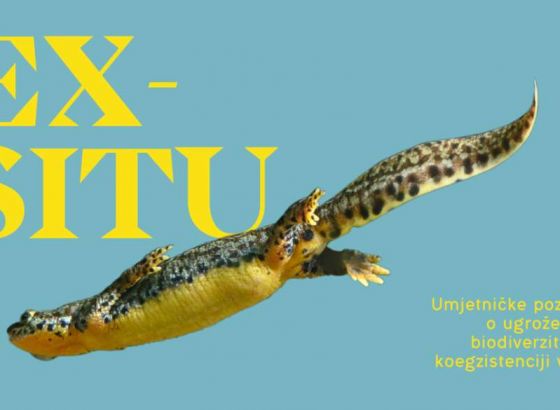 Februar u Sarajevu u znaku Imagine izložbe savremene likovne umjetnosti