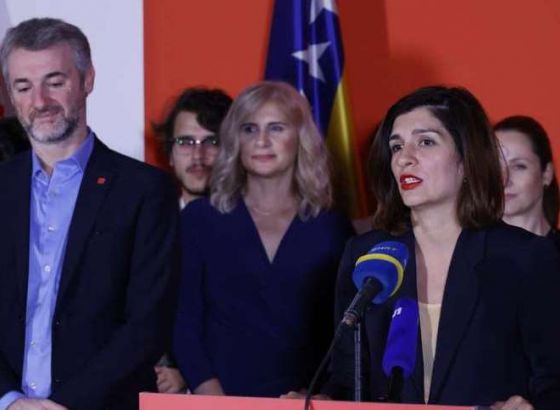 NS povodom odluke visokog predstavnika: Rezultati izbora će napokon odražavati stvarnu volju birača
