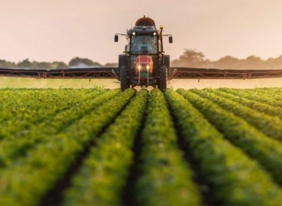 EU postigla dogovor o produženju bescarinskog režima za ukrajinske poljoprivredne proizvode
