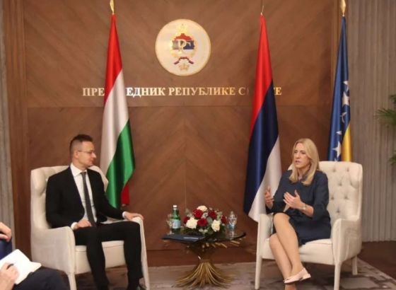 Cvijanović-Sijarto: Mađarska među najvećim zagovornicima procesa evropskih integracija