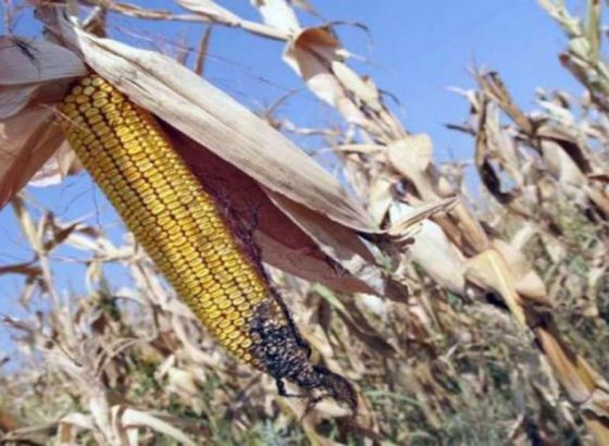 Mart je bio deseti uzastopni mjesec sa rekordnom temperaturom