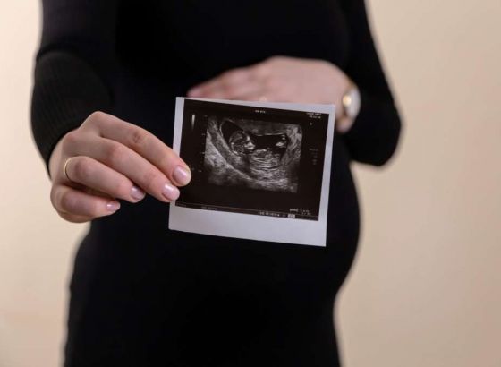 Bečki Institut za medicinsku genetiku - Nova studija istražuje anomalije ljudskog embrija