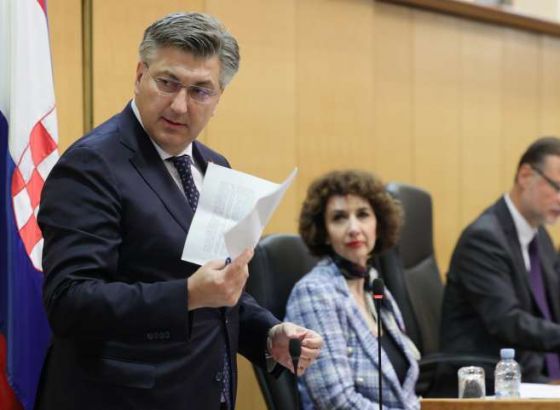 Manjinci: Više od jednog zastupnika će dati Plenkoviću glas za mandatara, SDSS neće