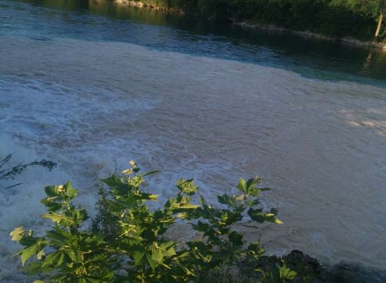 USR Neretva: Zamućenje vode ponovno je uzrokovalo neviđenu štetu ekosustavu rijeke Neretve