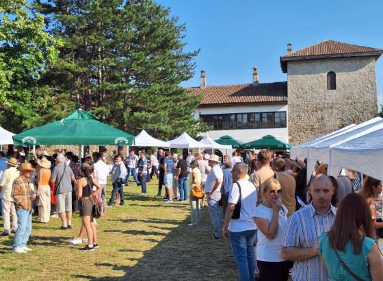 Kako je vinarstvo u rekordno kratkom roku turistički preporodilo 'Toskanu Srbije'