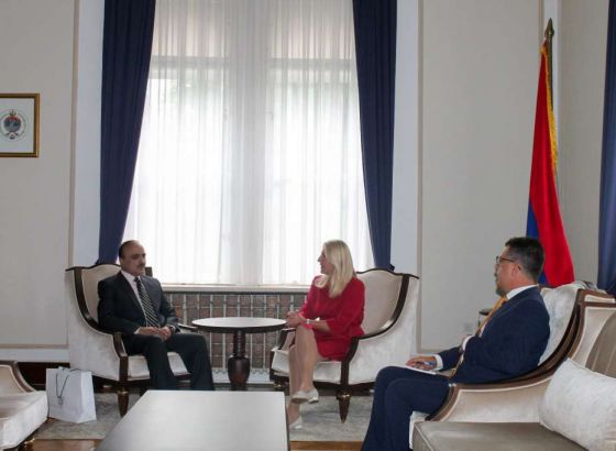 Cvijanović razgovarala s novoimenovanim ambasadorom Pakistana u BiH