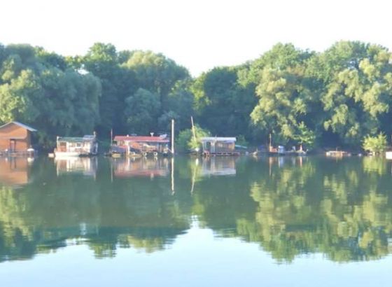 Tijelo žene koja je nestala u sudaru broda i čamca izvučeno iz Save, traje potraga za muškarcem