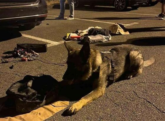 Rijeka: Državljanin BiH uhićen s više od pet kilograma kokaina