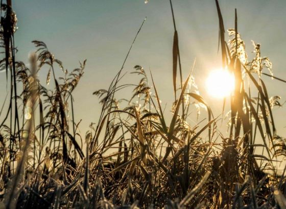 Sa današnjom vrućinom opraštamo se od ovog ljeta, meteorolozi najavljuju promjene, u Sloveniji i snijeg