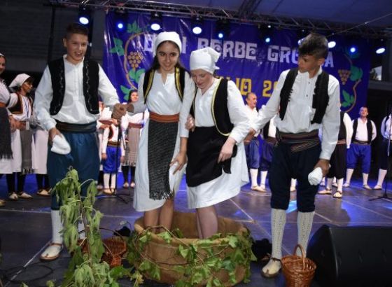 Dani berbe grožđa u Čitluku od 20. do 22. septembra