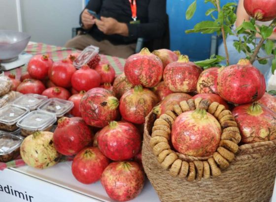 Hercegovački plodovi Mediterana: Velik broj izlagača s bogatom ponudom autohtonih proizvoda (VIDEO)