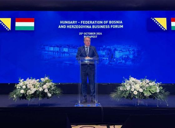 Delegacija Vlade FBiH na privrednom forumu u Mađarskoj - Susret privrednika prilika za investicije 