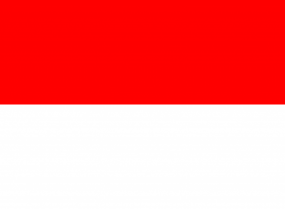 Mornaričke snage Indonezije i Rusije počele zajedničke vježbe u Javanskom moru