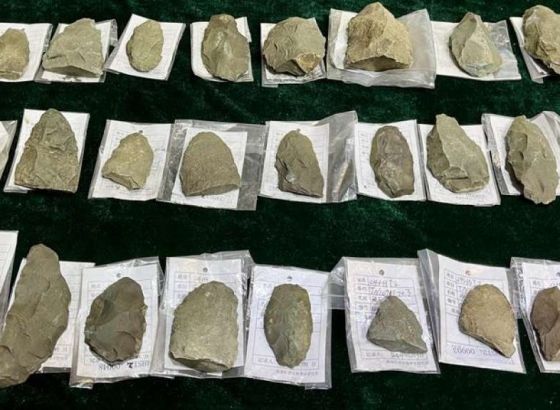 Više od 90.000 kamenih artefakata iz doba neolita, starih više od 5.000 godina, otkriveno na sjeveroistoku Kine