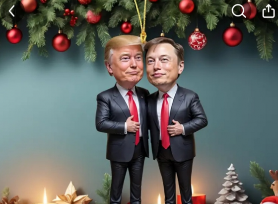 Čega se Temu dosjetio: Trump i Musk u prodaji, evo i cijena